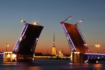 Теплоходная экскурсия на развод мостов в Санкт-Петербурге