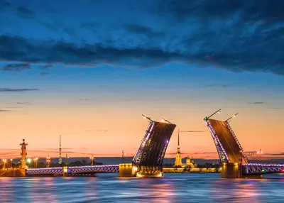 Купить резное панно-картину Санкт-Петербург разводные мосты из ценных пород  дерева