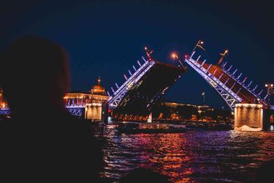 Экскурсия по ночному Санкт-Петербургу «Мосты повисли над Невой»