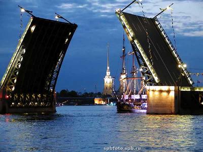 Разводные мосты Санкт-Петербурга | Санкт петербург, Красивые места,  Путешествия