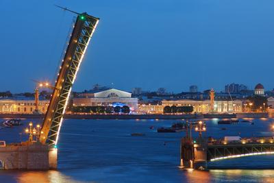 Разводные мосты Санкт-Петербурга: описание, история, интересные факты