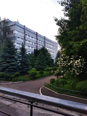 Российская Детская Клиническая Больница РДКБ Минздрава России, Москва - « РДКБ мой опыт пребывания с ребенком. Офтальмологическое отделение,  оперблок. » | отзывы