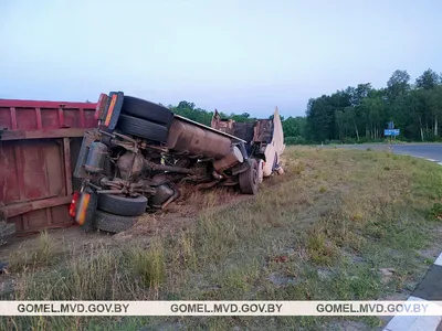 Расписание электричек по станции Речица на сегодня и на завтра от rupoezd.ru