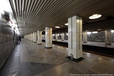 Какой загадочный город попал на витражи станции метро «Речной вокзал»