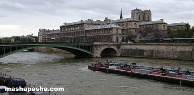 Сена вышла из берегов. Париж готовится к наводнению – фото | Новости  Украины | LIGA.net