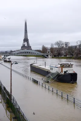 Река Сена в Париже на своем высоком уровне на больше чем 30 лет Статуя  Zouave Редакционное Стоковое Фото - изображение насчитывающей поток,  европейско: 72608223