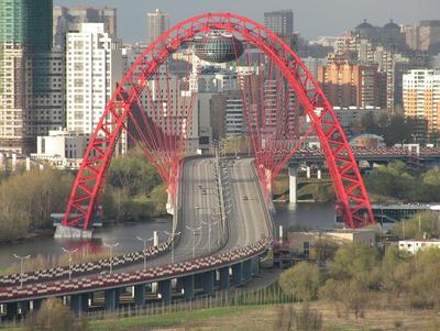 Хотели свадьбы на небесах, но брак: откроют ли ЗАГС на Живописном мосту в  Москве - KP.RU