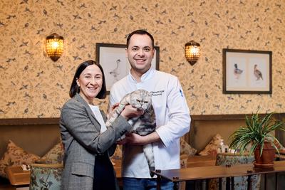 История ресторана «Паштет» в Екатеринбурге, где живет шотландская кошка  Паша: фото - 8 мая 2023 - Е1.ру
