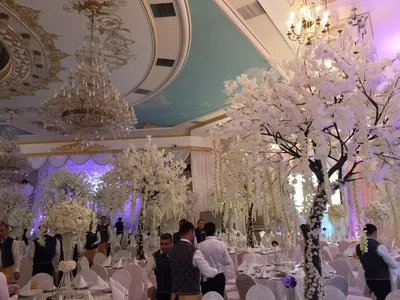 Компания Усманова приобрела дом для VIP-свадеб на Воробьевых горах — РБК