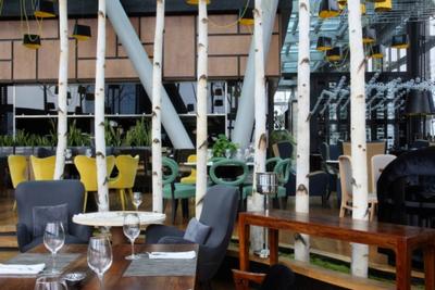 Дизайн-проект панорамного ресторана с желтыми, зелеными и красными креслами  и березами в кадках
