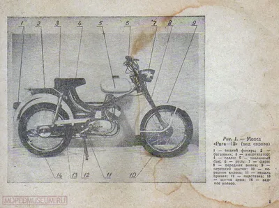Советские мотоциклы и мопеды | Мопеды, Мотоцикл, Мотоциклы café racer