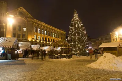 Что приготовили на Новый год Novaya Riga Outlet Village и Vnukovo Outlet |  РБК Стиль