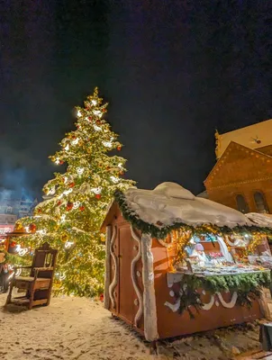 How to visit the Riga Christmas Market, Latvia - Europe in Winter
