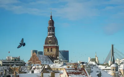 Что делать в Латвии зимой: ТОП 10 идей | latvia.travel