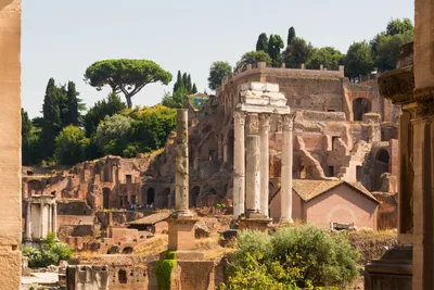 File:Forum Romanum through Arch of Septimius Severus Forum Romanum Rome.jpg  - Wikipedia