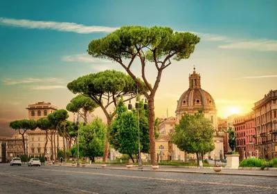 Опасные улицы Древнего Рима с летающими ночными горшками | Scio | Дзен