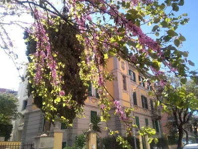Рим в апреле фото