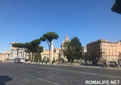 Волшебный Рим в апреле: помолвка и фотосессия