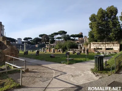 Рим в марте 2022: погода, праздники, что посмотреть (ФОТО)
