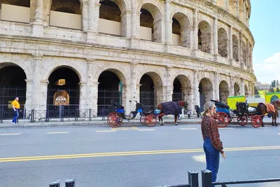 Rimskiekanikuly - БЕСПЛАТНЫЕ ГОСУДАРСТВЕННЫЕ МУЗЕИ В РИМЕ С 5 по 10 марта,  а также в определенные дни в течение всего года, вы можете посетить более  500 государственных музеев и культурно-исторических площадок Рима