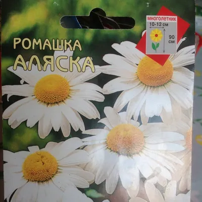 Ромашка Крупноцветковая, 0,5 г, \"Аляска\", Семена Украины – купить оптом в  интернет-магазине optom-k.com