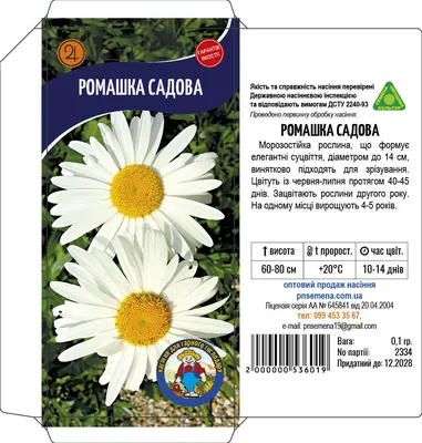 Buy Chamomile Large-flowered Flowers Seeds alaska 0,5 G Natural Farmer's  Dream Ромашка Крупноцветковая Аляска Online in India - Etsy
