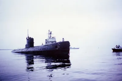 Как Российская Подводная Лодка Всплыла У Статуи Свободы | Армия РФ | Дзен