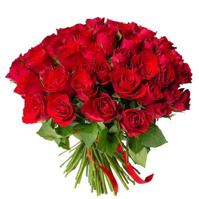 Букет 15 кремовых роз 35 см в упаковке - заказать в Санкт-Петербурге.  Кустовые и пышные Кремовые для букета невесты, на свадьбу, юбилей с  доставкой.