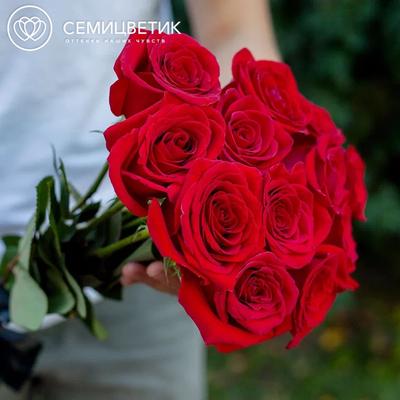 Корзина 51 красная роза купить с доставкой в СПб