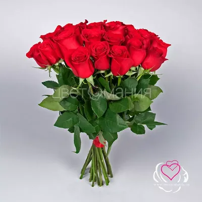 Букет из 35 розовых роз 60 см - купить в Санкт-Петербурге по цене 5790 р -  Magic Flower