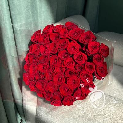 Купить Красная роза (Эквадор) 40 см 40 см в Санкт-Петербурге с бесплатной  доставкой: цена, фото, описание
