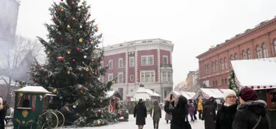 Казанский репортер: Рождественская елка в Риге занесена в Книгу рекордов  Гиннесса