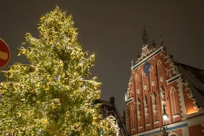 Рождественская ярмарка на рижской Домской площади названа самой аутентичной  в Европе / Статья