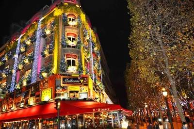 Париж и целый мир - Paris10.ru - Какие фильмы французы смотрят на Рождество?  🇫🇷🎄 Ну на этих-то выходных уже пора нарядить елку? Кто, как настоящий  француз, уже нарядил? Отпишитесь в комментариях. 😂