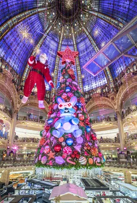 Галерея Лафайет - одно из главных мест в Рождество в Париже! ⠀ 🎄 В этом  году на Рождество Galeries Lafayette Haussma… | Париж, Сад с орхидеями,  Рождественская елка