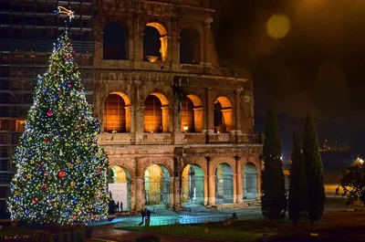 Ночь В Риме Елка Возле Колизея — стоковые фотографии и другие картинки  Рождество - Рождество, Рим - Италия, Древний Рим - iStock