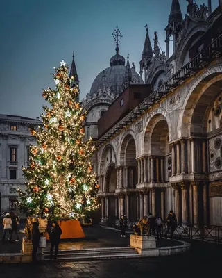 Рождественская сказка в Риме © цена и отзывы 2024 года • Travel Mania