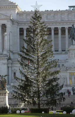 Традиционные рождественские огни в Риме освещают путь к ЦУР