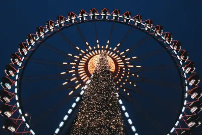 Главная Рождественская ёлка в Берлине