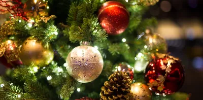 Жительница Испании рассказала о необычных традициях на Рождество в стране