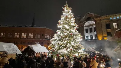 В последнее десятилетие Рождество в Латвии всё чаще – бесснежное / Статья