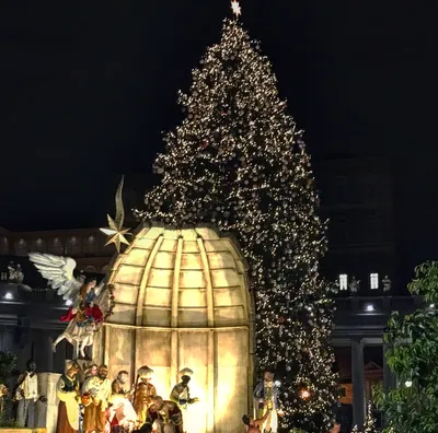 Рождество Дерево И Пьяццадельпополо В Риме Италия — стоковые фотографии и  другие картинки Рождество - iStock