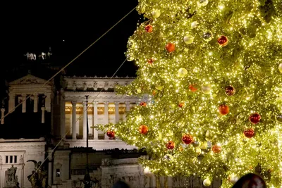 Римский Колизей празднует рождество Стоковое Изображение - изображение  насчитывающей наследие, руина: 44364939