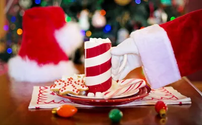 Что американцы готовят на Рождество: 5 рецептов праздничных блюд