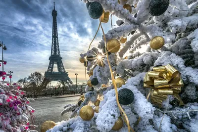 Как встречают Рождество во Франции? | SKYROAM.RUSSIA | Дзен