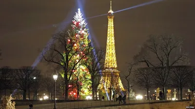 Рождество во Франции: традиции и студенчество — РосОбразование