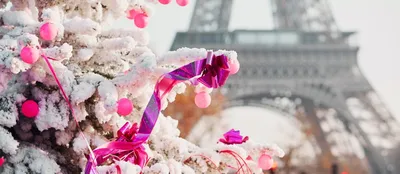 Как отметят Рождество во Франции | Ассоциация Туроператоров