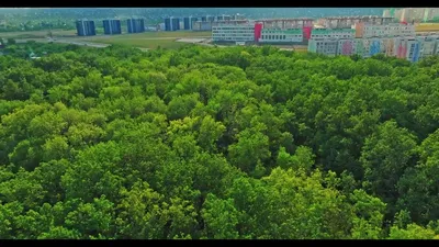 Кошелев Проект в Самаре: фото и видео обзор инфраструктуры и квартир  микрорайона - 16 июля 2019 - 63.ru