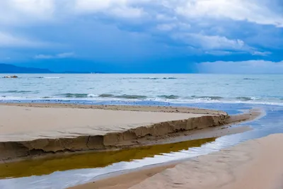 Обои Черепаха на пляже на курорте Сабаудия, Италия » Скачать красивые HD  обои (картинки) на рабочий стол (экран) и на телефон бесплатно