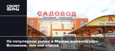 Рынок «Садовод» закроют окончательно — в 2022 году на его месте появится  гигантский торговый центр - Москвич Mag